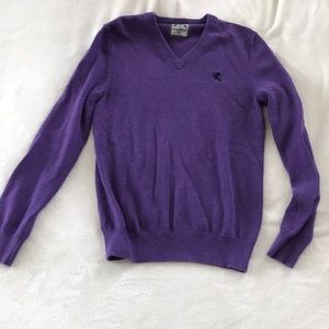 Purple Express V-Neck from Express